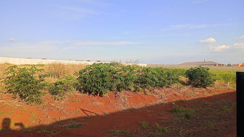 Área - Venda - Cardeal - Elias Fausto - SP